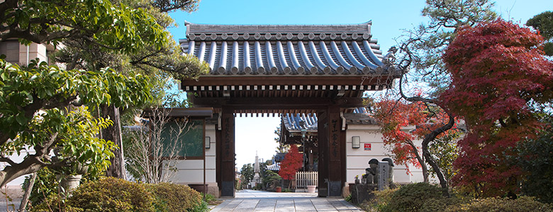 門