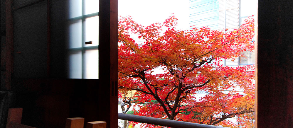 部屋から見た紅葉