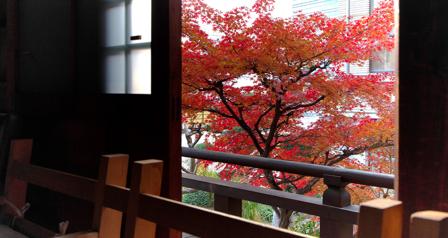 屋内からの紅葉