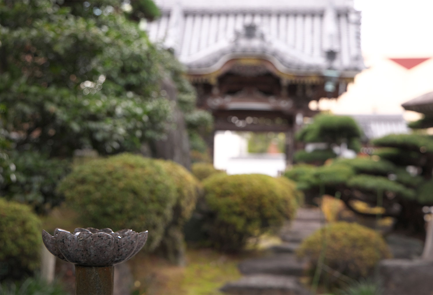 手水舎と山門