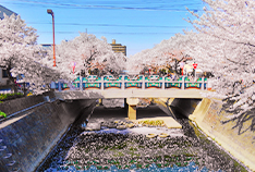 大江川緑道